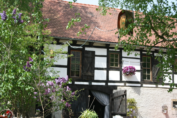 house in Rothschönberg 8