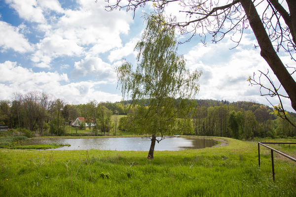 holiday flat in Rožmitál na Šumavě 2