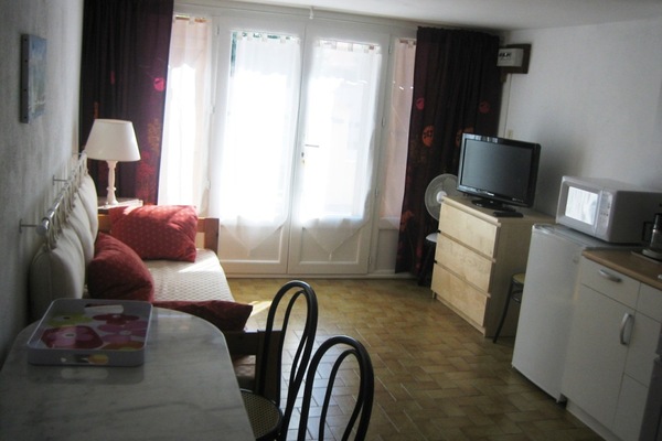 holiday flat in Saint-Cyprien-Plage 1