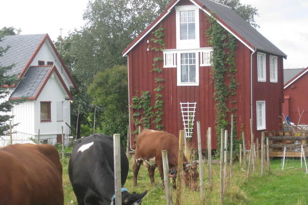house in Snåsa 16