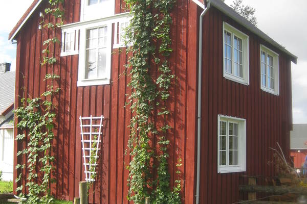 house in Snåsa 19
