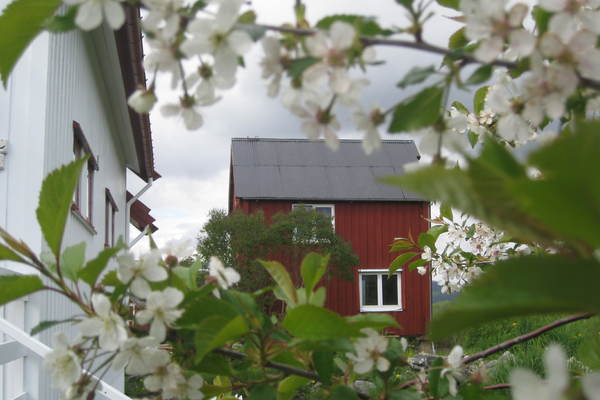 house in Snåsa 14
