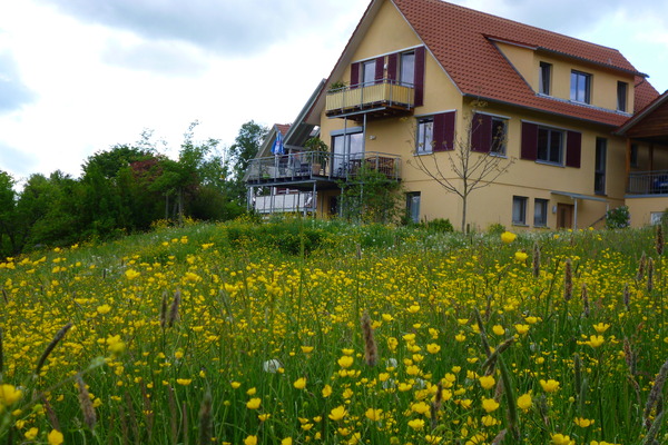 holiday flat in Diefenbach 1