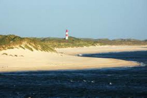 holiday flat in Sylt-Ost 14