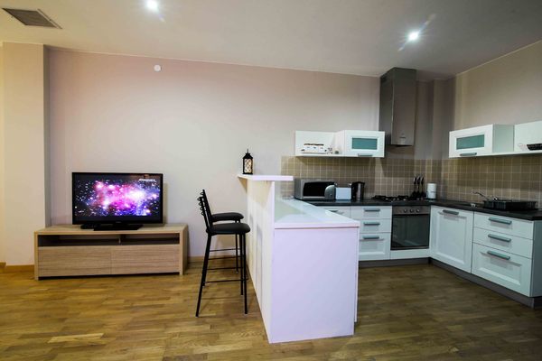 holiday flat in Tbilisi 9