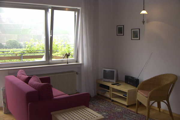 holiday flat in Trittenheim 3