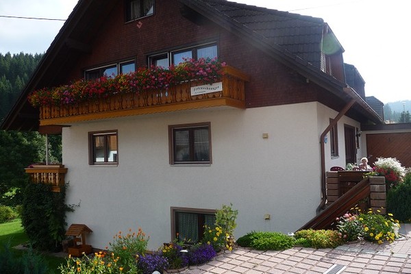 holiday flat in Vöhrenbach 3