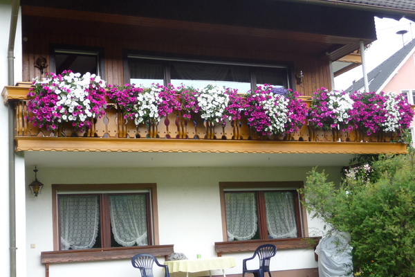 holiday flat in Vöhrenbach 7