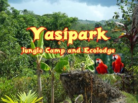 Yasipark - Nature Camp and Ecolodge C1