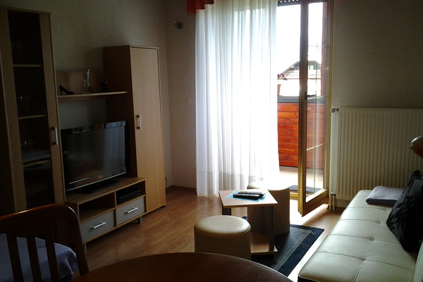 holiday flat in Bled 7