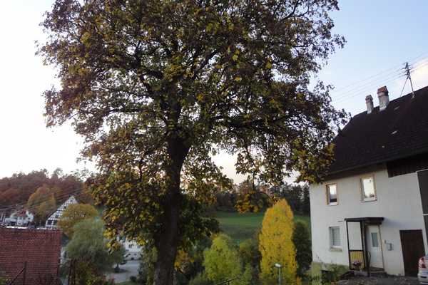 holiday flat in Stetten 2