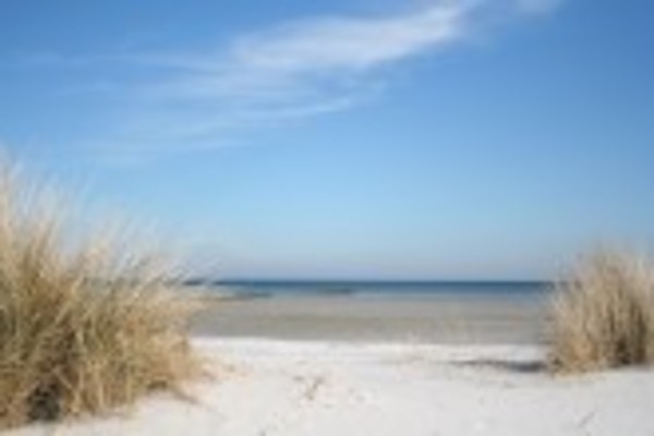 holiday flat in Zingst 12